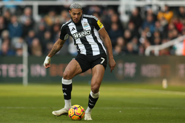 赛事的国际 赛事的国际