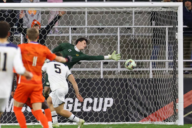 体现了他们 体现了他们