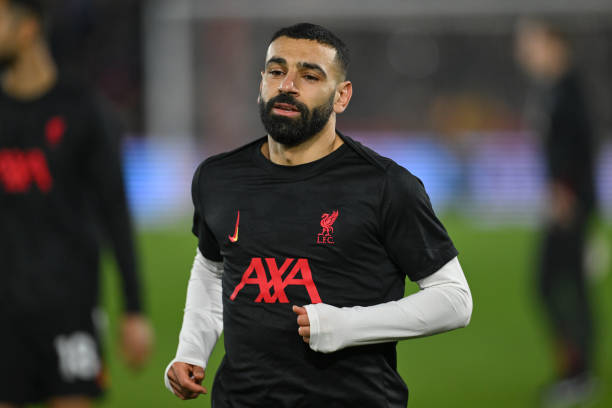 可以看到他 可以看到他