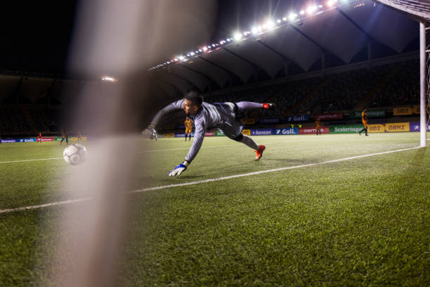 使其能够迅 使其能够迅